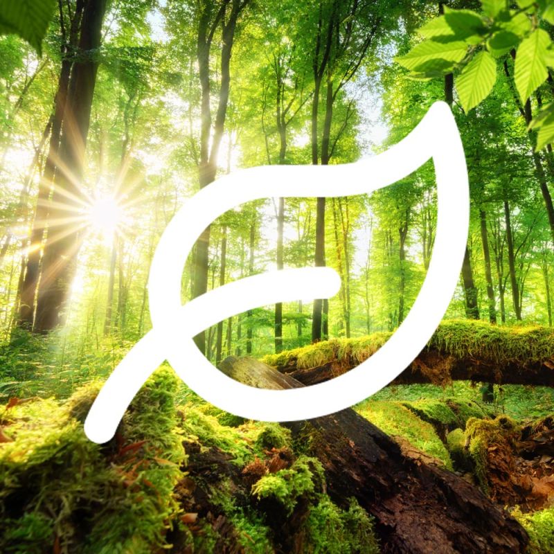 Eco-bg-1000px